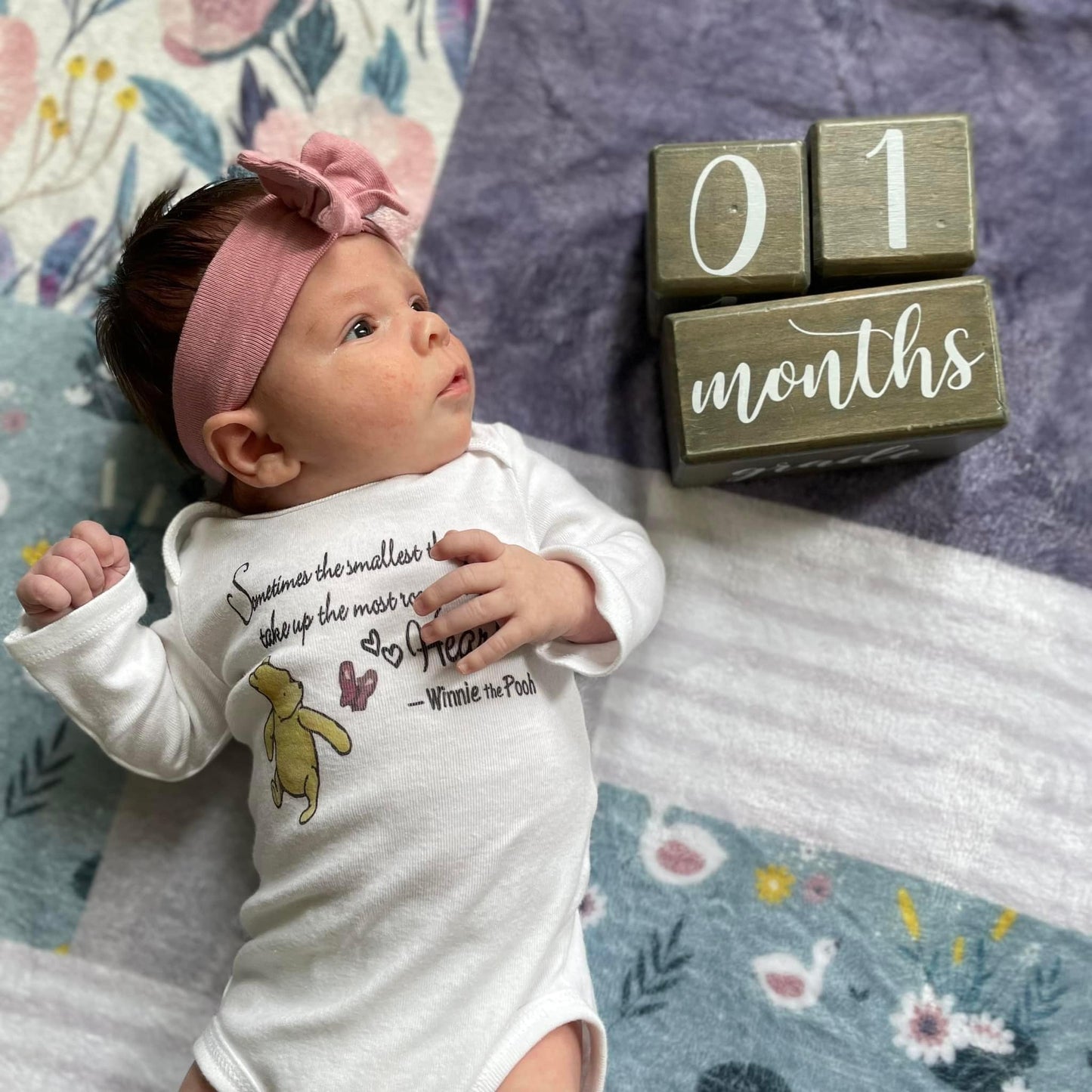 Custom Personalized Plush Minky Blanket - Purple Floral Swan Faux Quilt Style // 3 sizes