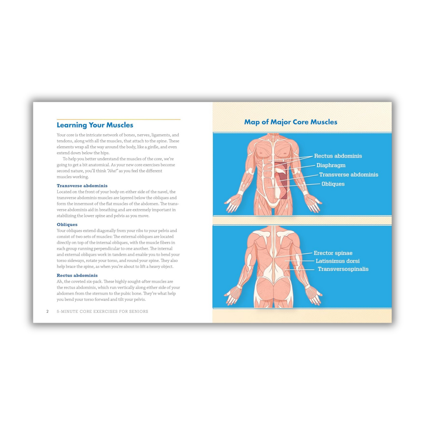 5-Minute Core Exercises for Seniors: Daily Routines to Build Balance and Boost Confidence (Spiral Bound)