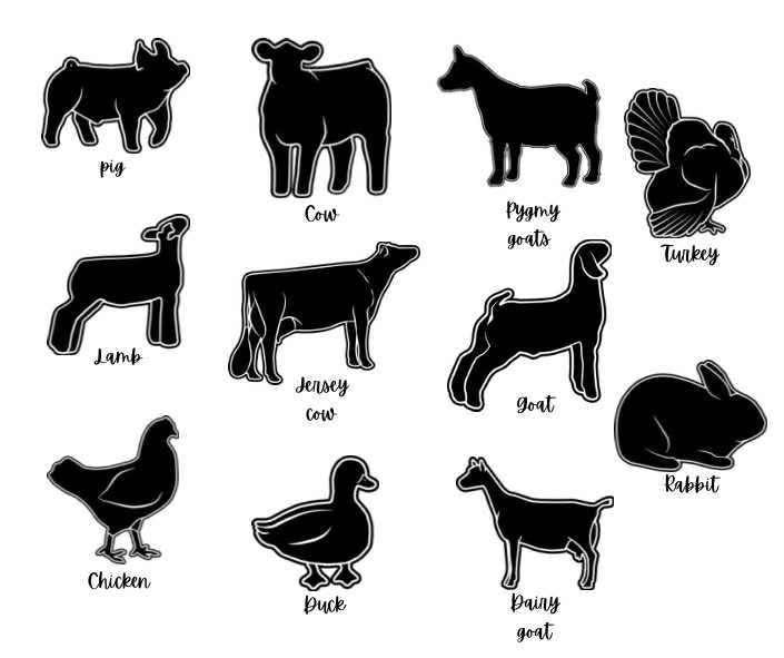 Custom Personalized 4H Stall Signs (Preorder - Ships in 4-5 Weeks)