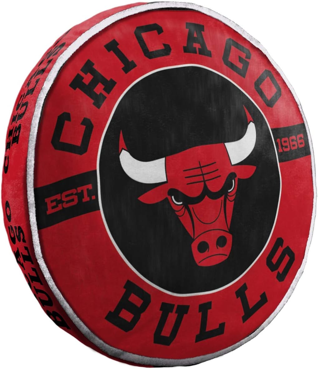 Chicago Bulls 15" Cloud Pillow