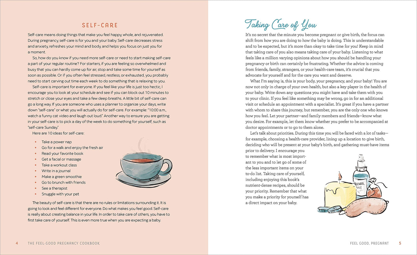 The Feel-Good Pregnancy Cookbook: 100 Nutritious and Delicious Recipes for a Healthy 9 Months and Beyond (Spiral Bound)