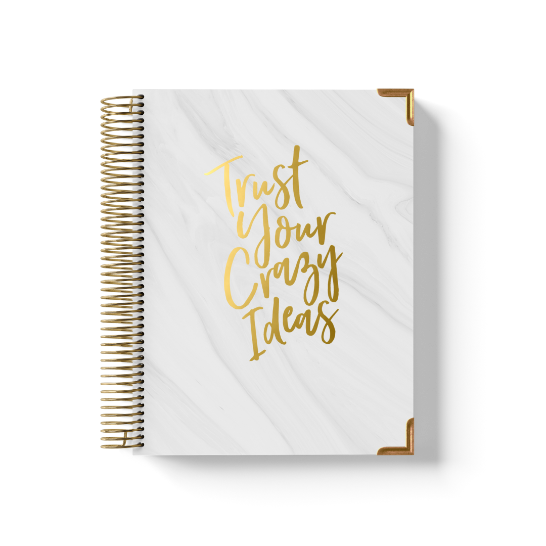 (Pre-Order) Crazy Ideas Teacher Planner by BERTEAU & Co.