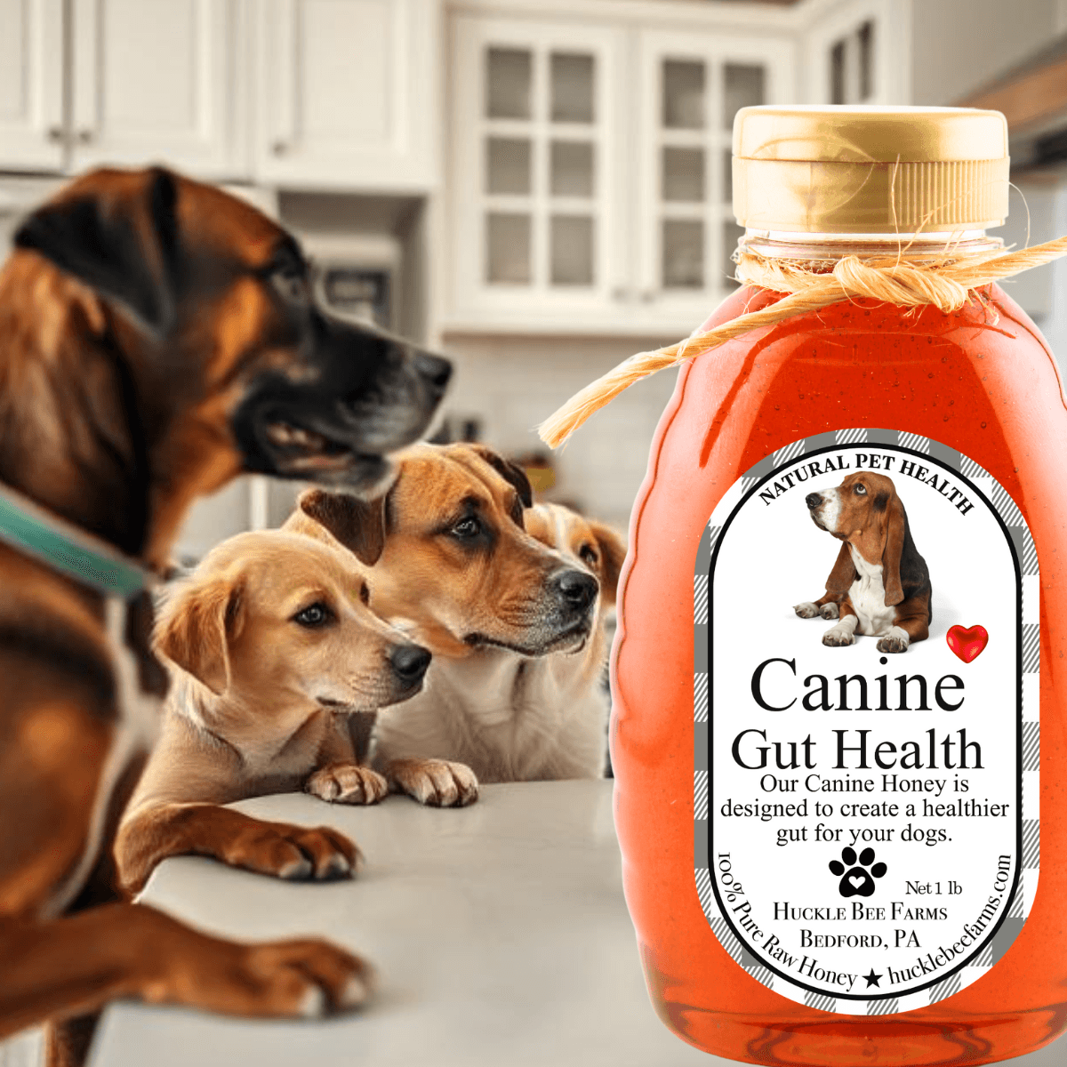 🐾 K9 Honey – Allergy Relief Formula