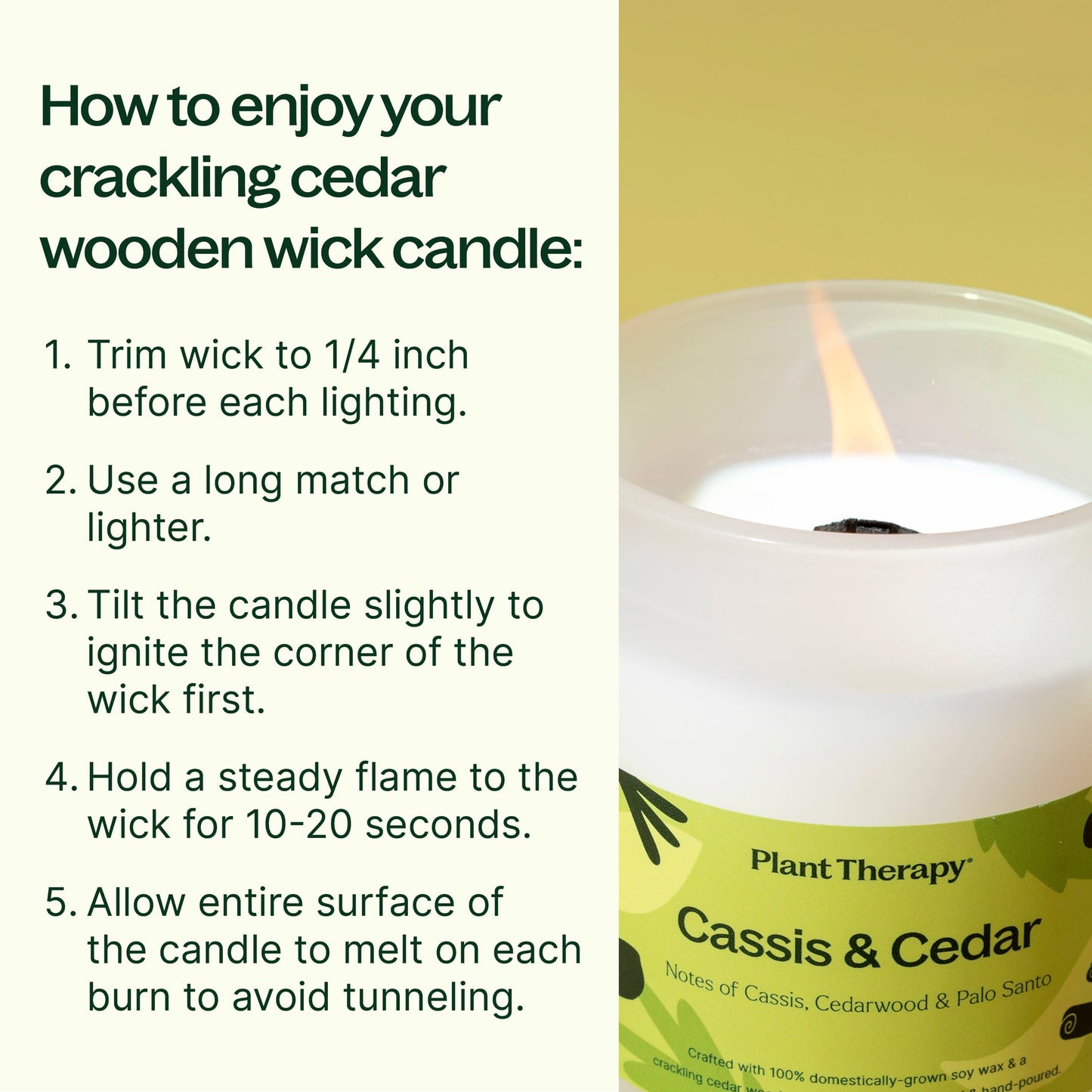 Cassis & Cedar Naturally Scented Candle
