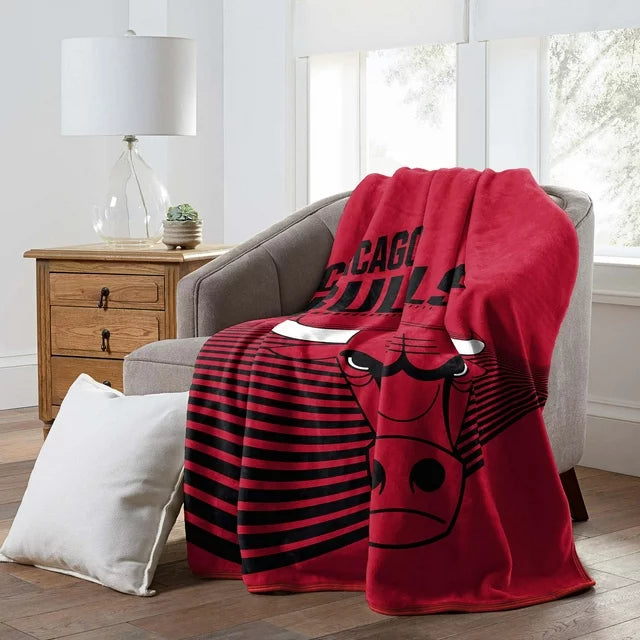 NBA Chicago Bulls Digitized 60 x 80 Raschel Throw Blanket