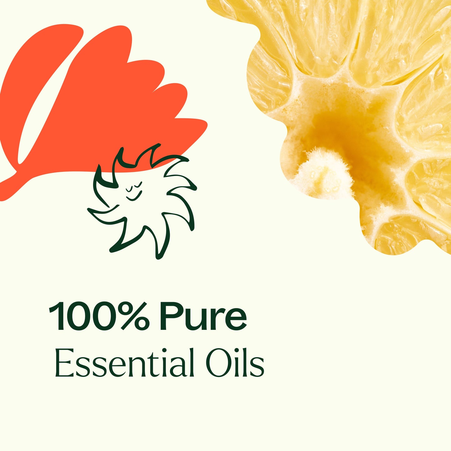 Citrus Burst Multi-Surface Cleaner 2-Pack