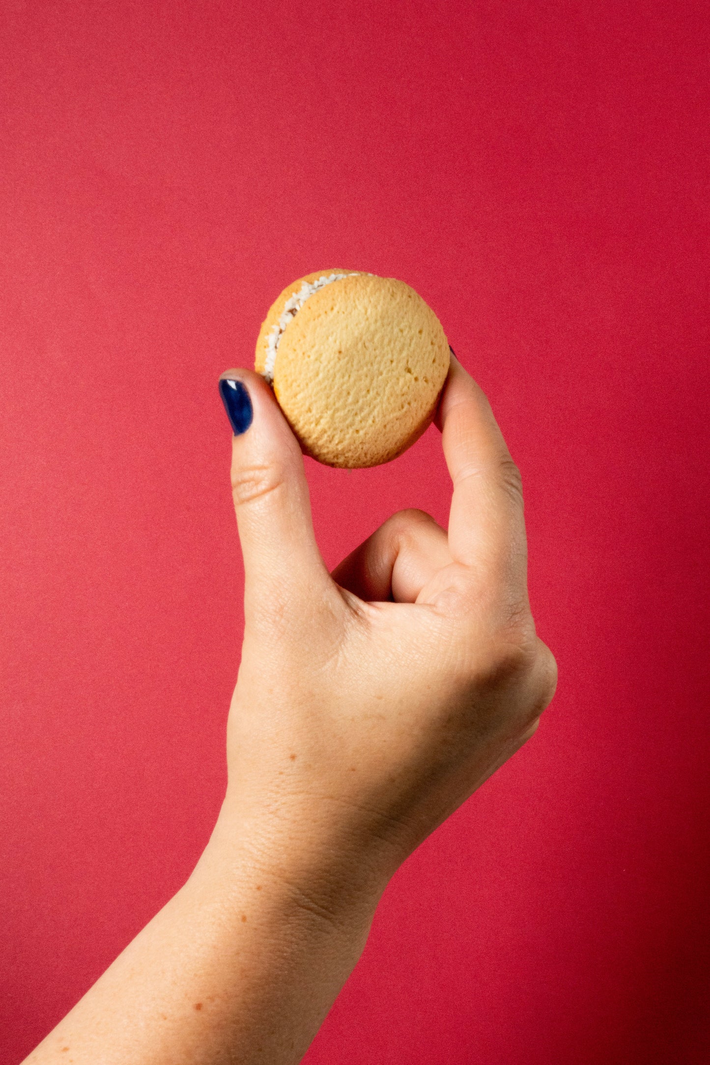 Dessert For Party: Artisanal Alfajores & Tea Cookies
