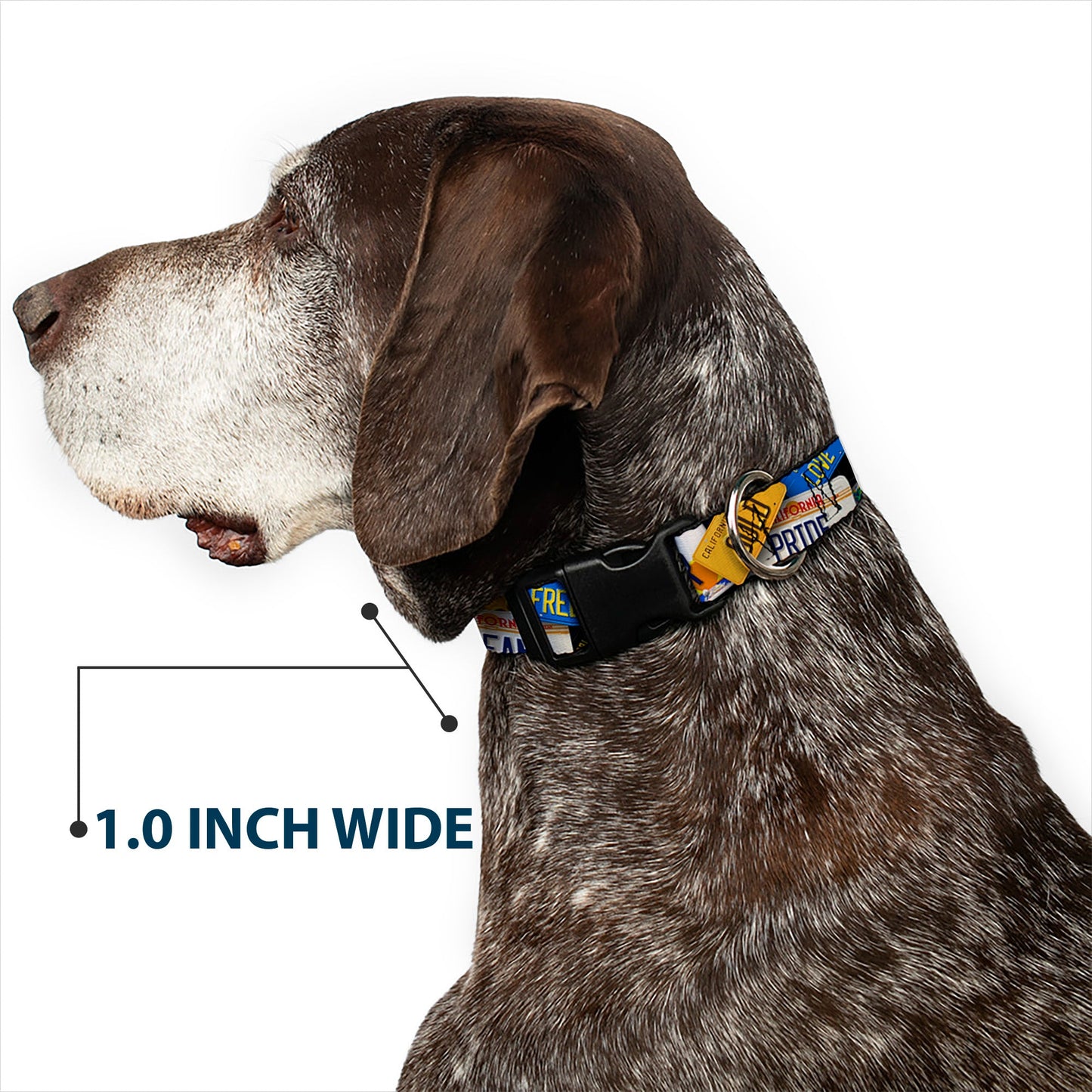 Plastic Clip Collar - Cali License Plates Stacked