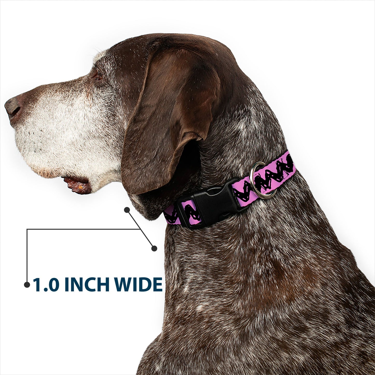 Plastic Clip Collar - Peanuts Charlie Brown Zig Zag Stripe Pink/Black