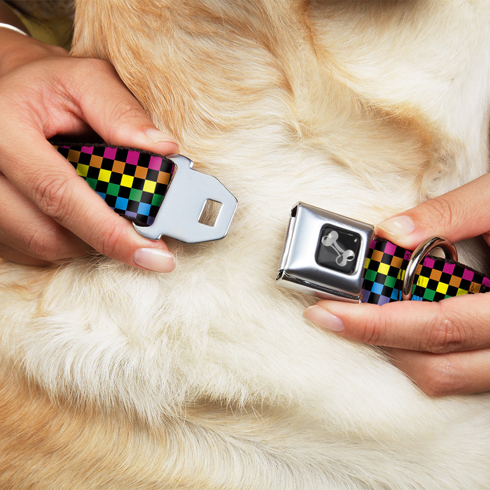 Dog Bone Seatbelt Buckle Collar - Checker Black/Neon Rainbow