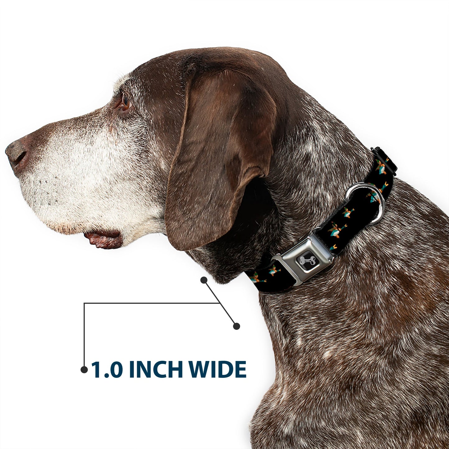 Dog Bone Seatbelt Buckle Collar - Flying Mallards Black