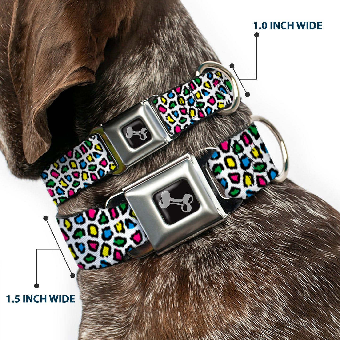 Dog Bone Seatbelt Buckle Collar - Leopard White/Multi Color