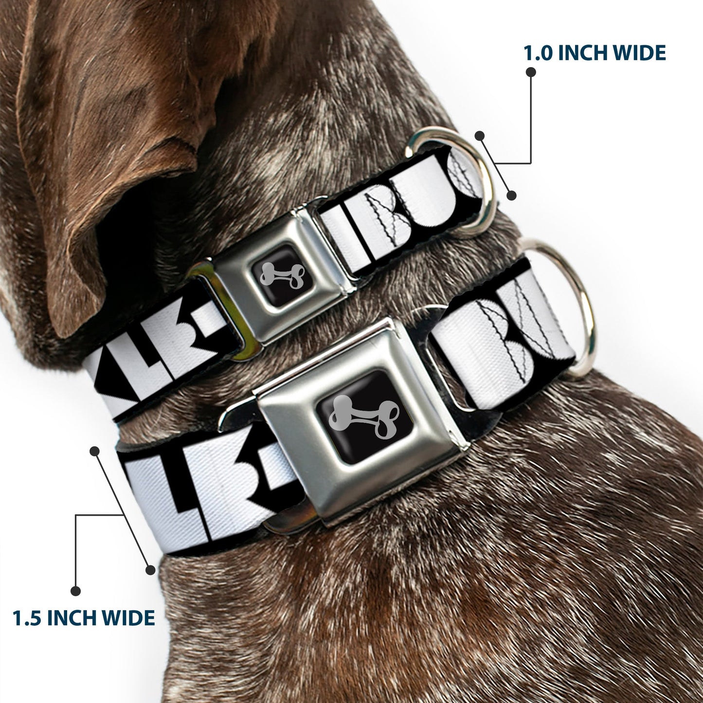 Dog Bone Seatbelt Buckle Collar - BUCKLE-DOWN Shapes Black/White