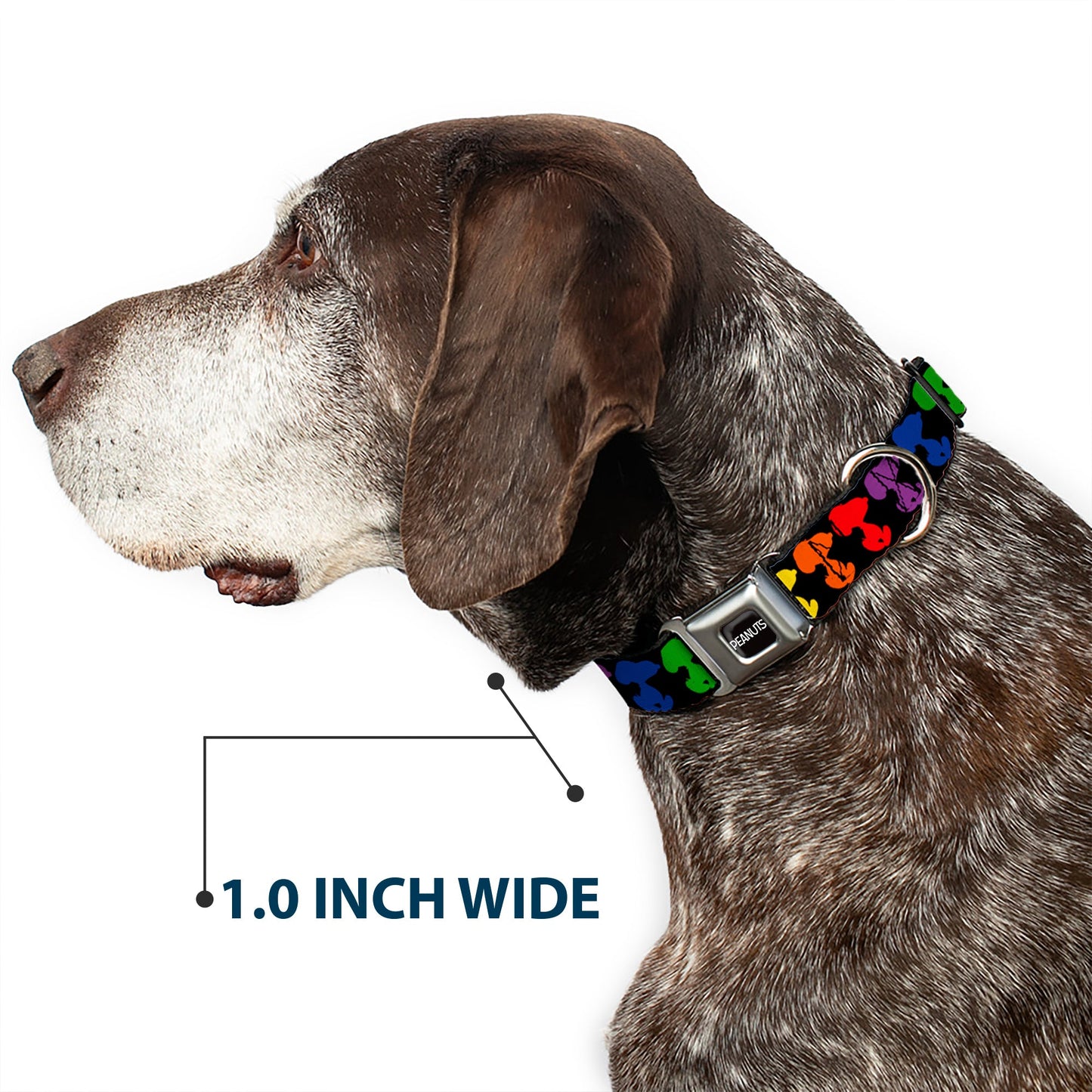 PEANUTS Title Logo Full Color Black/White Seatbelt Buckle Collar - Peanuts Snoopy Silhoutte Pose Black/Rainbow Multi Color