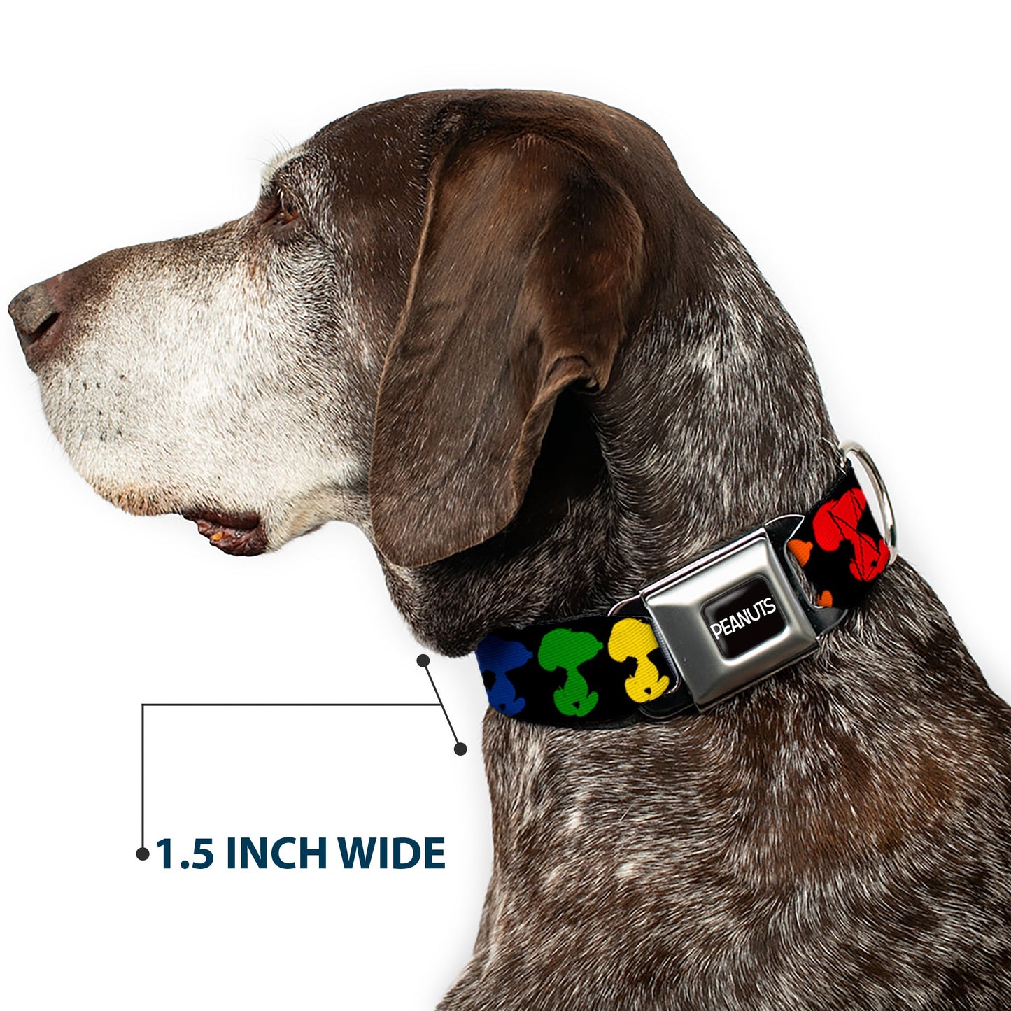 PEANUTS Title Logo Full Color Black/White Seatbelt Buckle Collar - Peanuts Snoopy Silhoutte Pose Black/Rainbow Multi Color