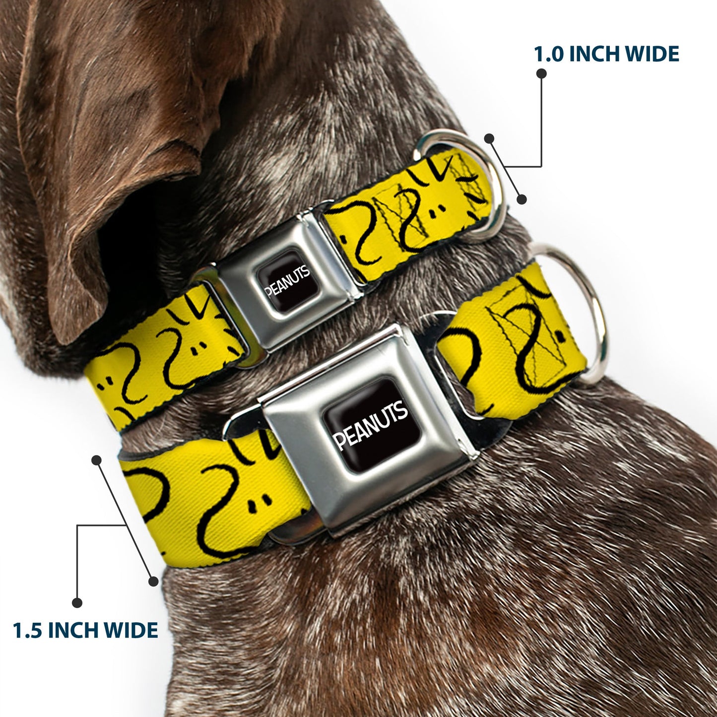 PEANUTS Title Logo Full Color Black/White Seatbelt Buckle Collar - Peanuts Woodstock Line Face Line Art Yellow/Black