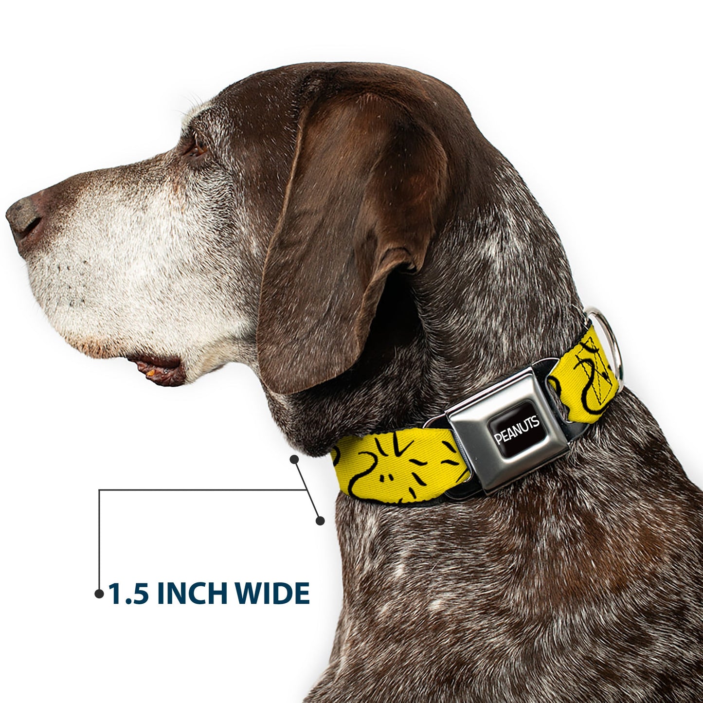 PEANUTS Title Logo Full Color Black/White Seatbelt Buckle Collar - Peanuts Woodstock Line Face Line Art Yellow/Black
