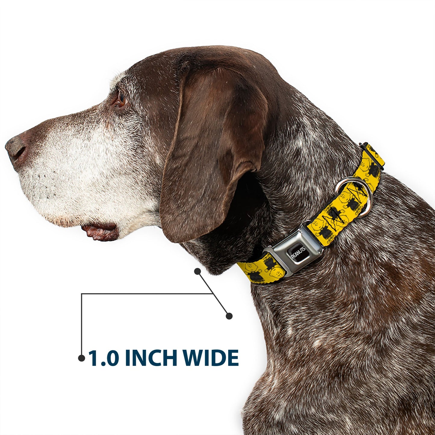 PEANUTS Title Logo Full Color Black/White Seatbelt Buckle Collar - Peanuts Charlie Brown Pose Flip Yellow/Black