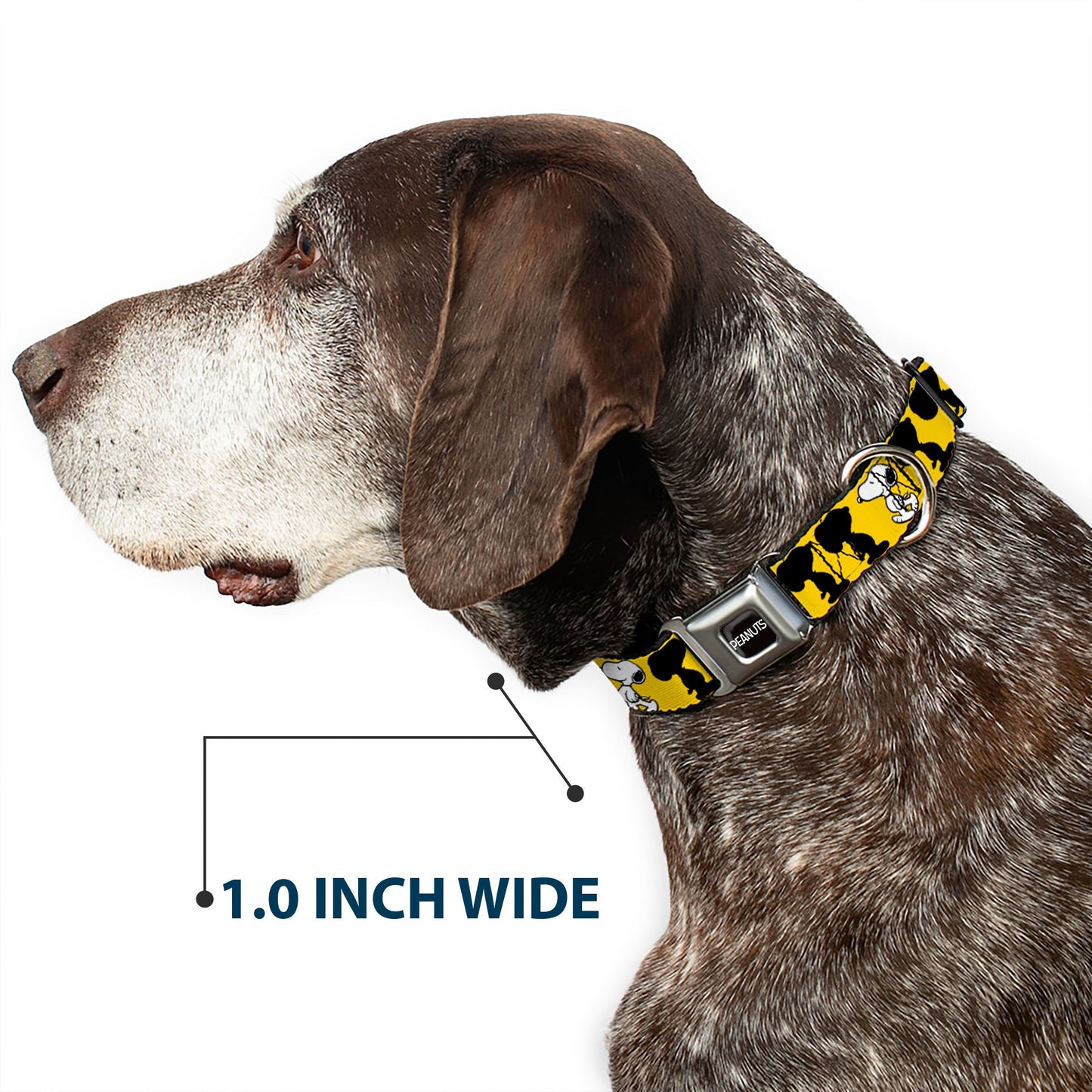 PEANUTS Title Logo Full Color Black/White Seatbelt Buckle Collar - Peanuts Snoopy Walking/Silhouette Pose Yellow/Black/White