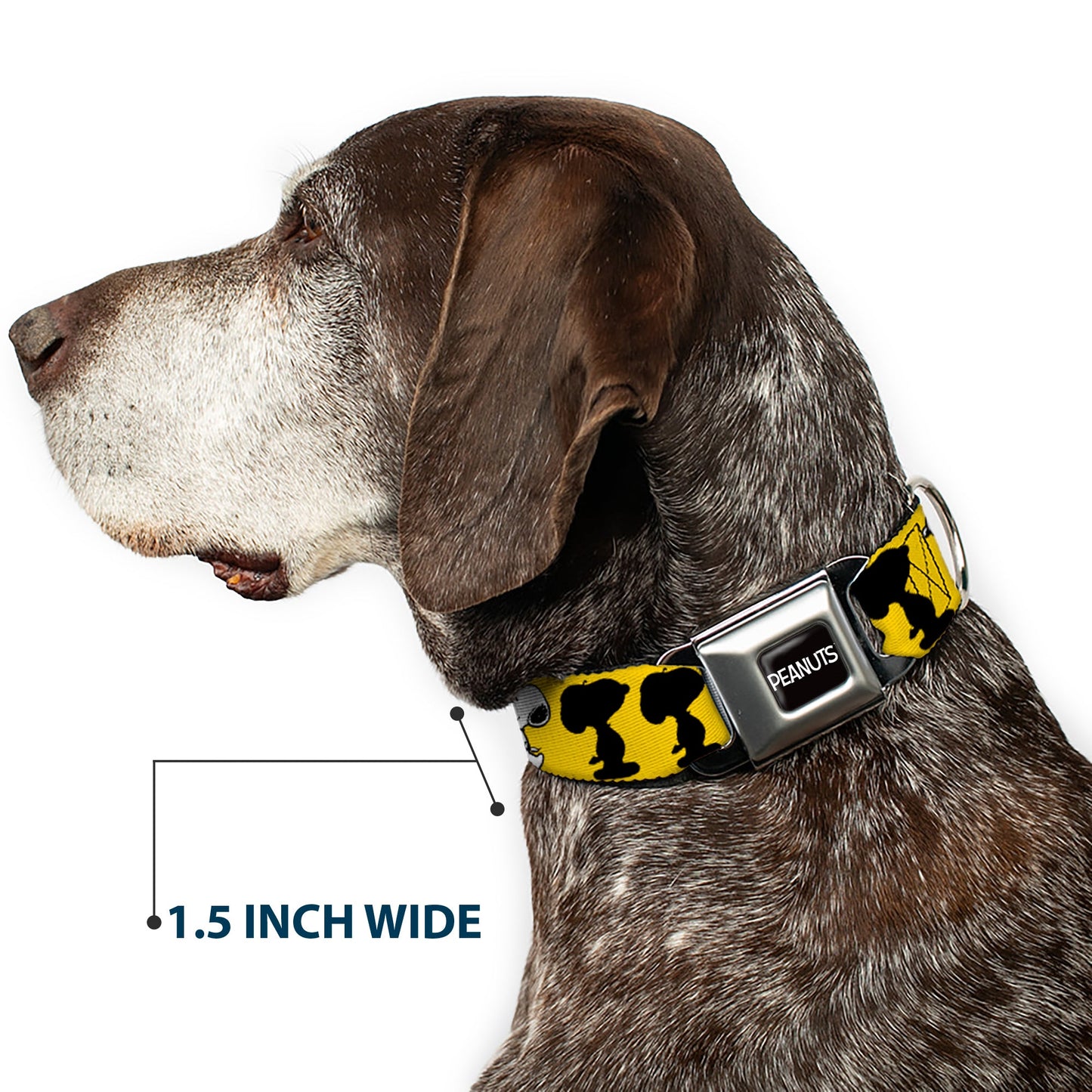 PEANUTS Title Logo Full Color Black/White Seatbelt Buckle Collar - Peanuts Snoopy Walking/Silhouette Pose Yellow/Black/White