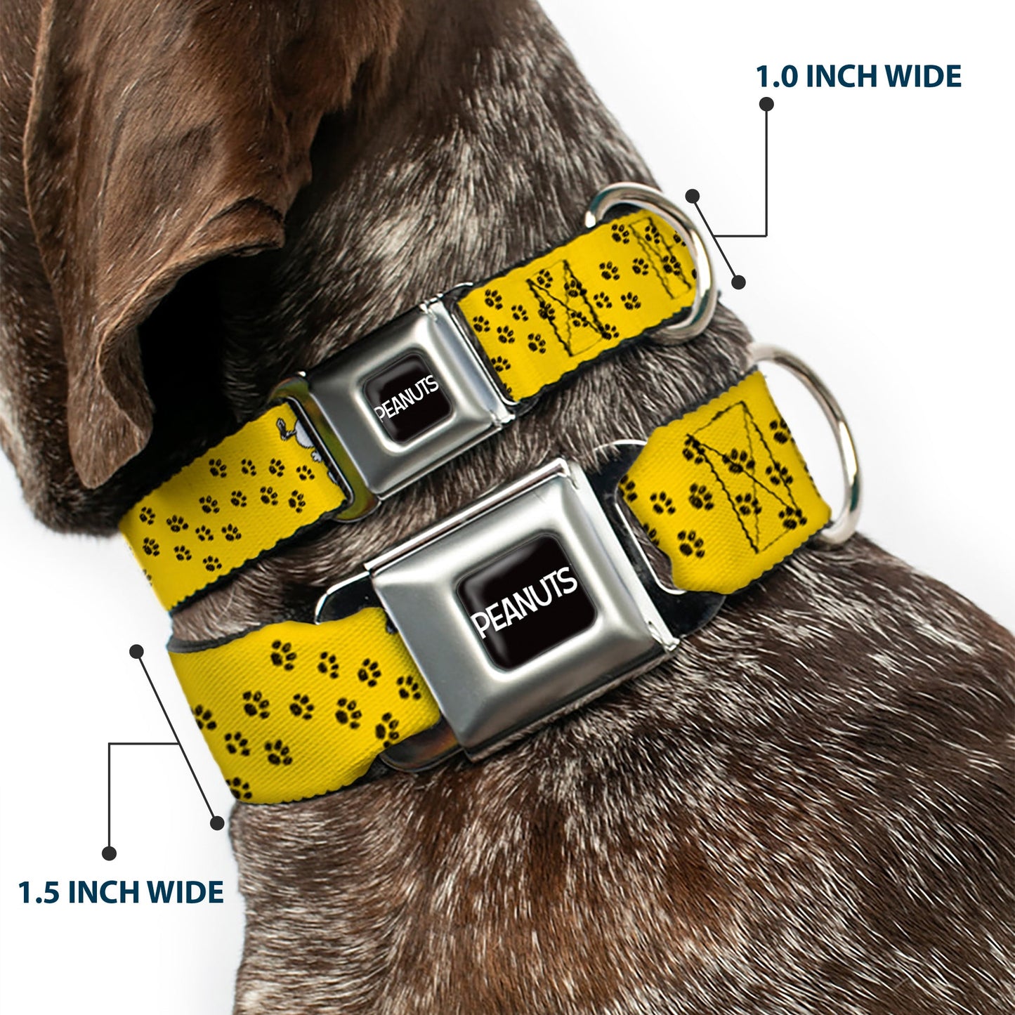 PEANUTS Title Logo Full Color Black/White Seatbelt Buckle Collar - Peanuts Snoopy Smiling Pose/Paw Print Yellow/Black/White