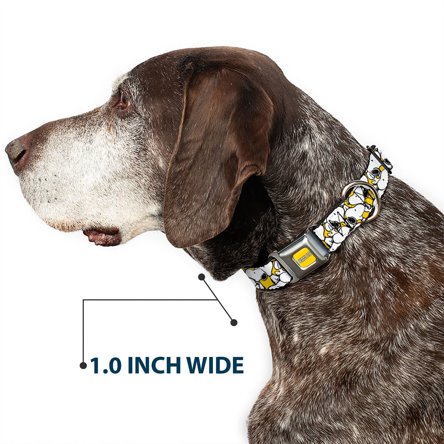 PEANUTS Title Logo Full Color Yellow/White Seatbelt Buckle Collar - Peanuts Snoopy Pose Stacked Yellow