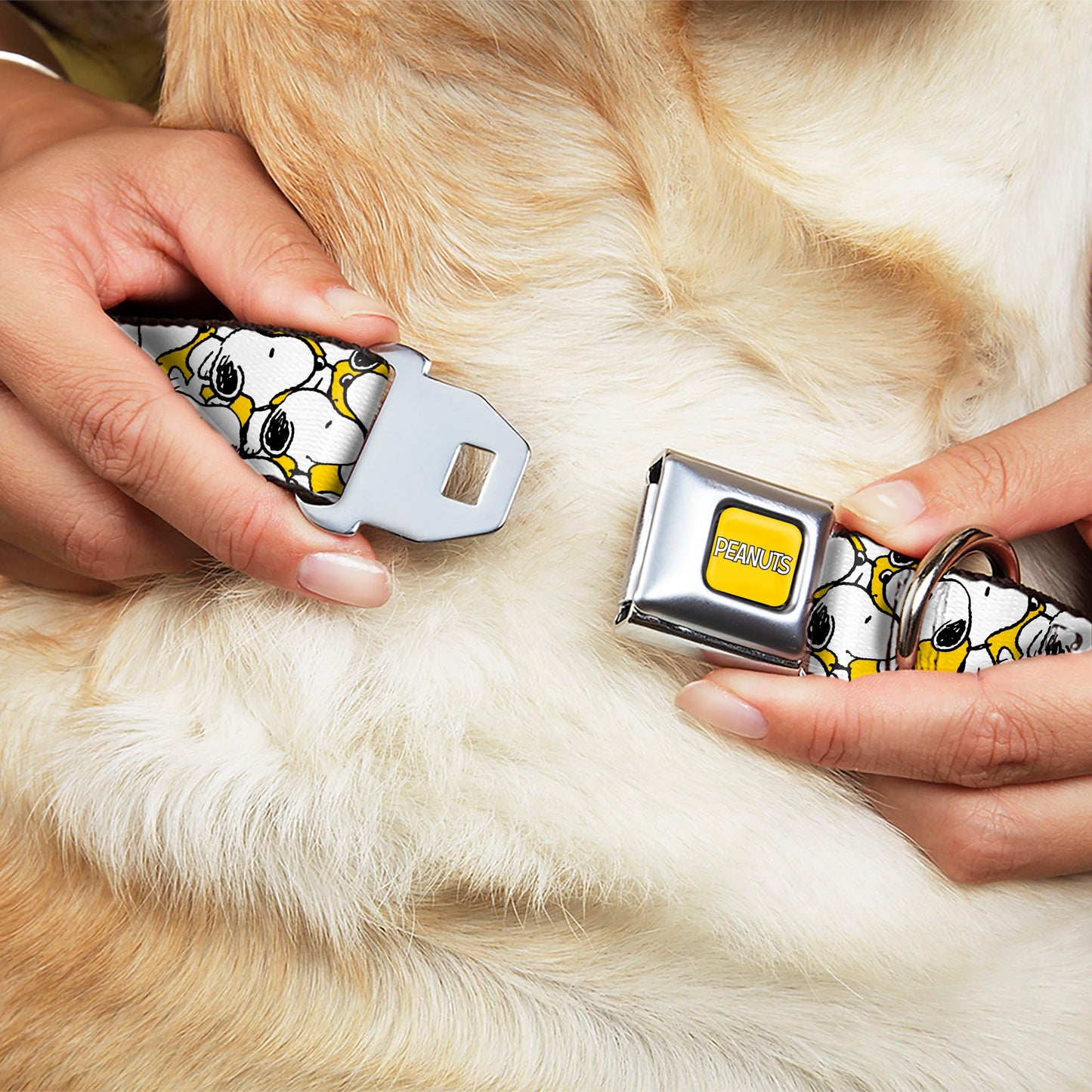 PEANUTS Title Logo Full Color Yellow/White Seatbelt Buckle Collar - Peanuts Snoopy Pose Stacked Yellow