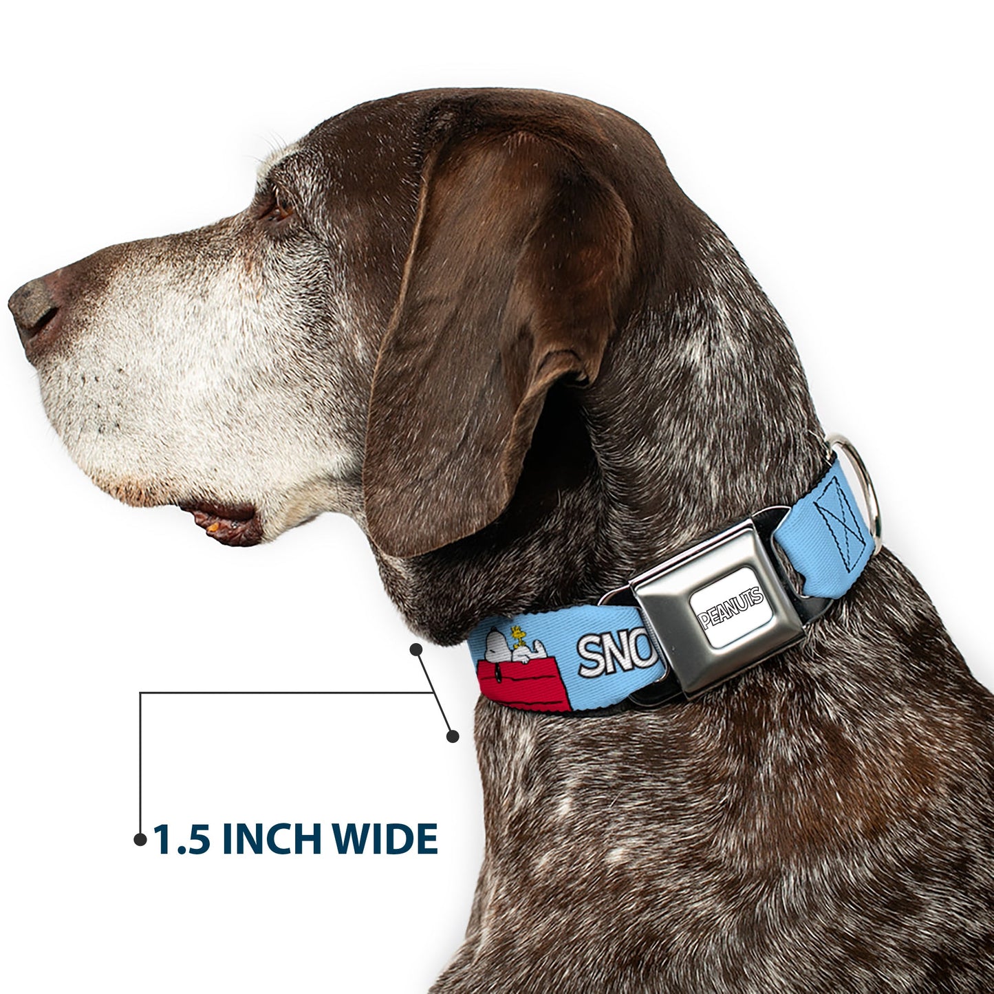 PEANUTS Title Logo Full Color Gray/White Seatbelt Buckle Collar - Peanuts Snoopy and Woodstock Dog House Pose and Text Sky Blue