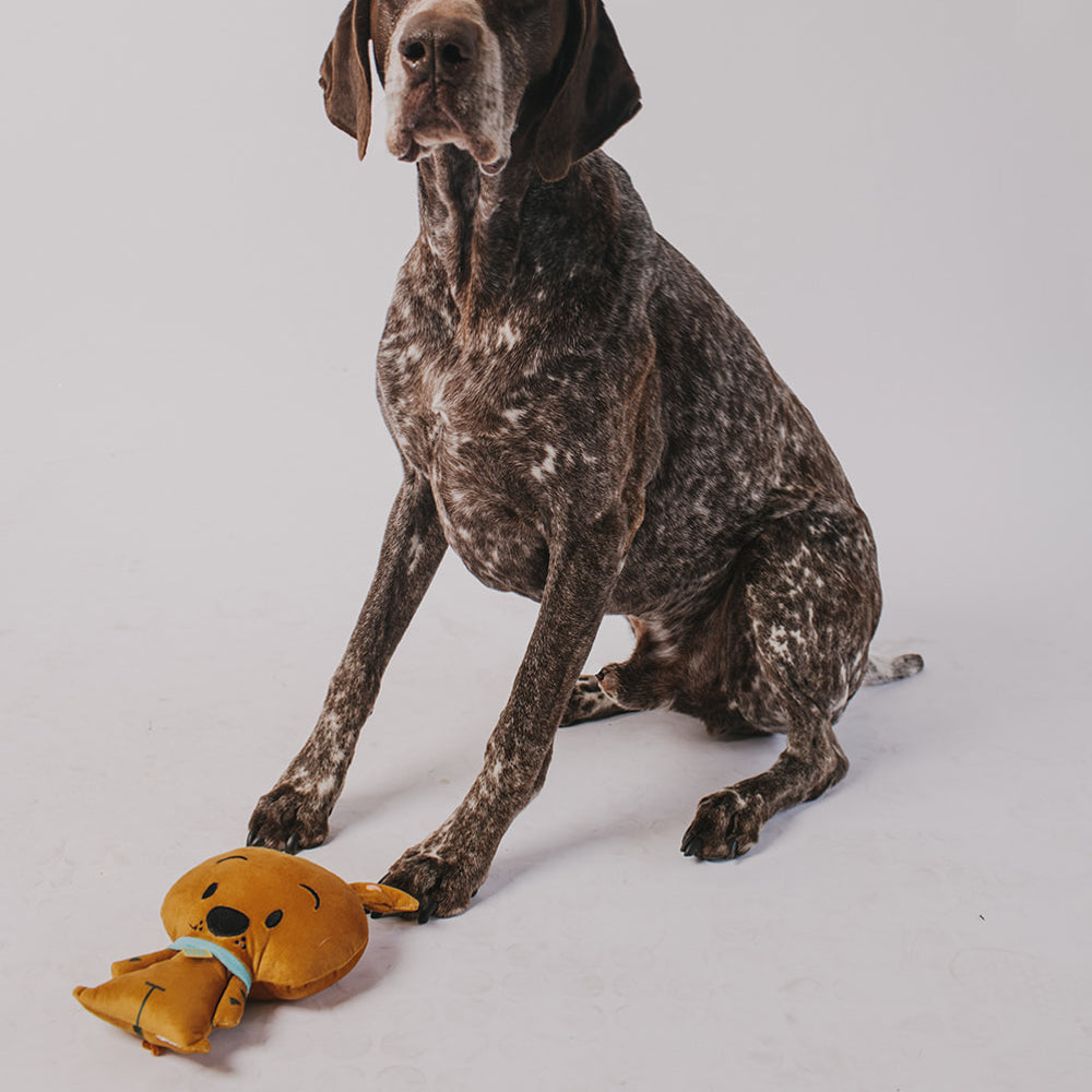 Dog Toy Squeaker Plush - Scooby Doo 3-D Full Body