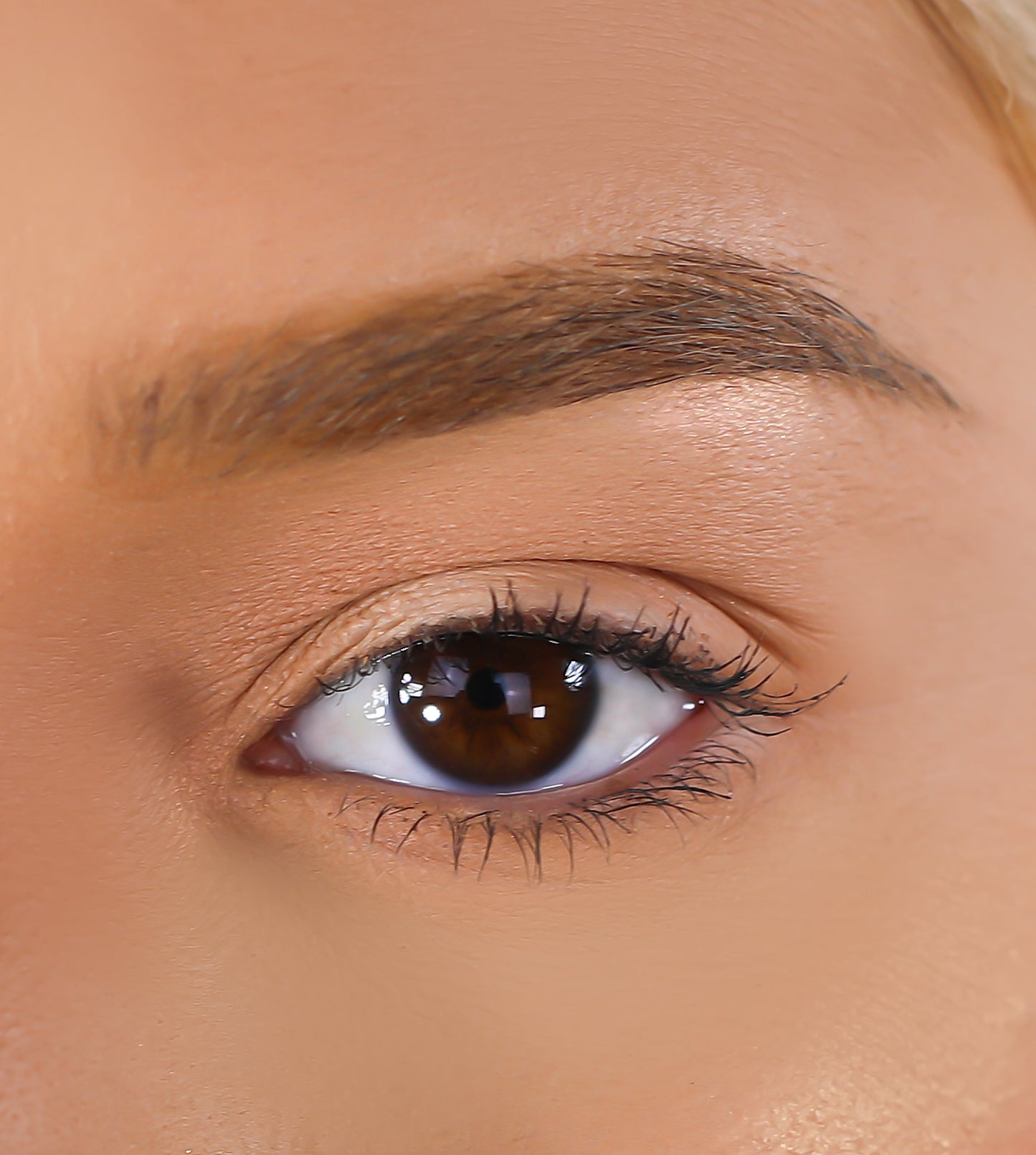 3D Mink Eyelashes - Cece