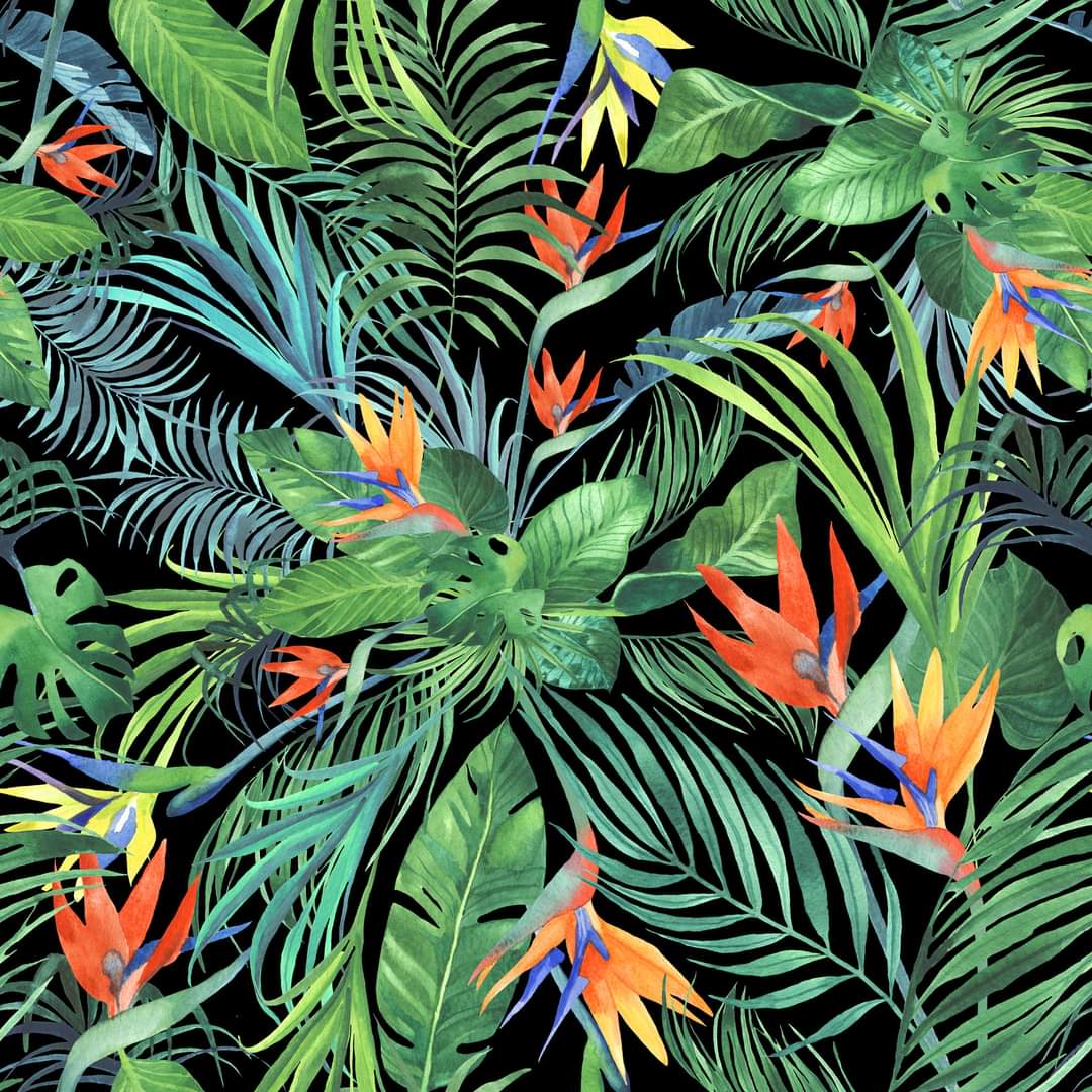 Tropical On Black Leggings, Capris, and Bike Shorts