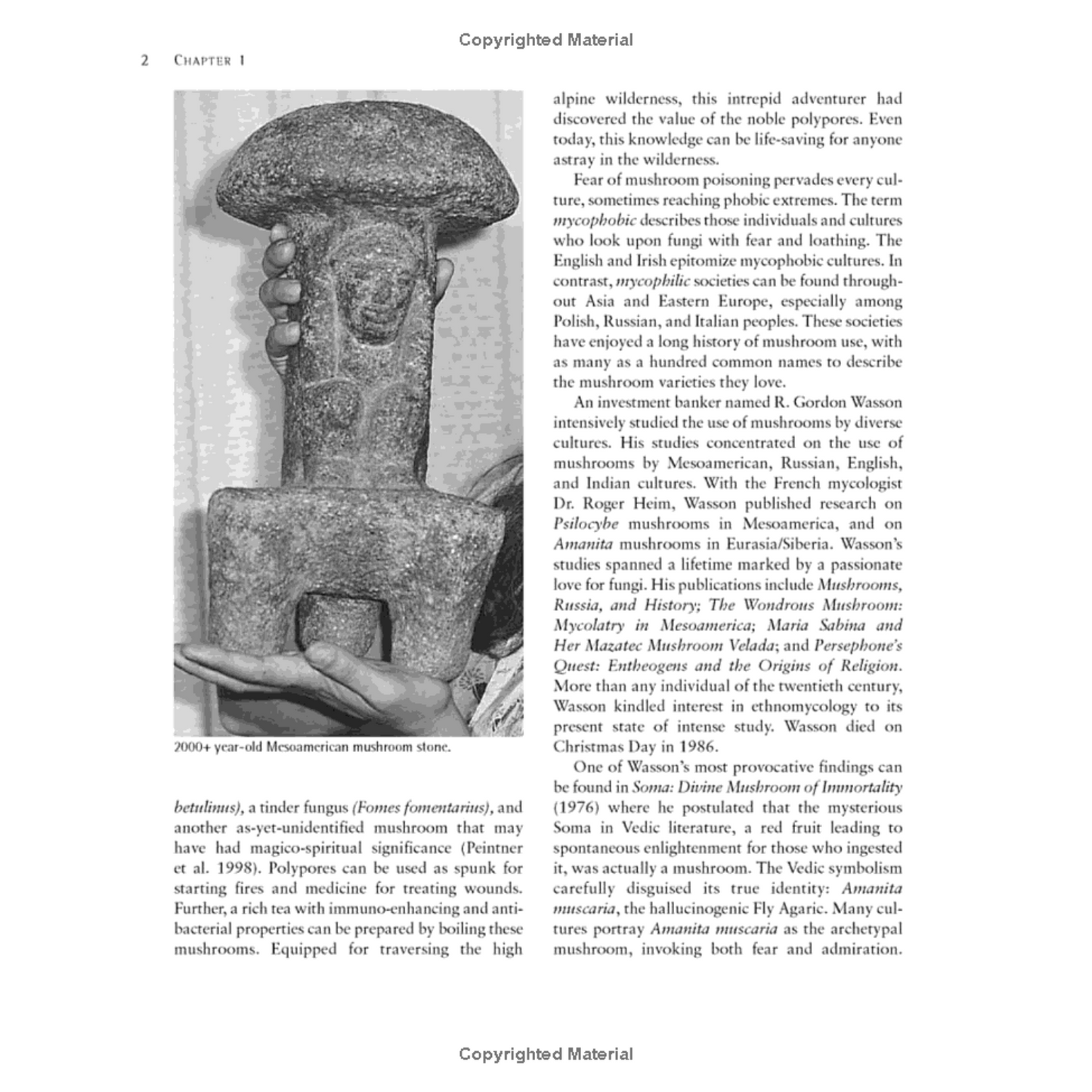 Growing Gourmet and Medicinal Mushrooms (Spiral Bound)