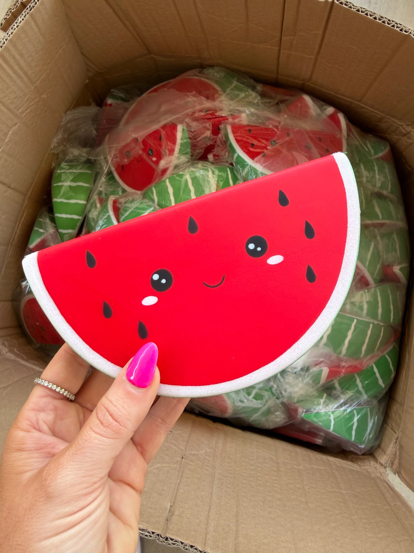 Viral Watermelon Squishy - IN STOCK