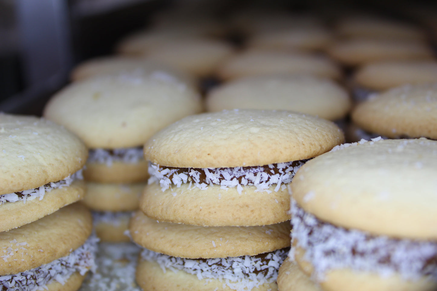 Traditional Argentinian Alfajor