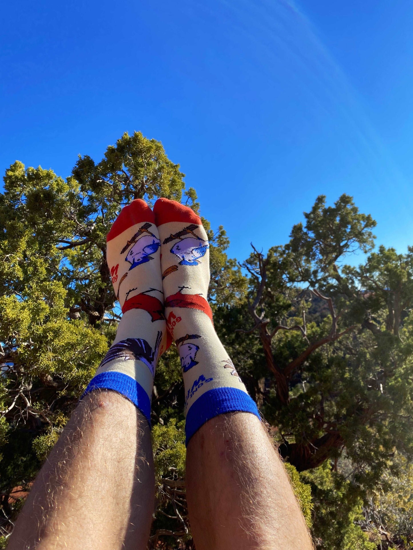 Men's Birds The Word Socks
