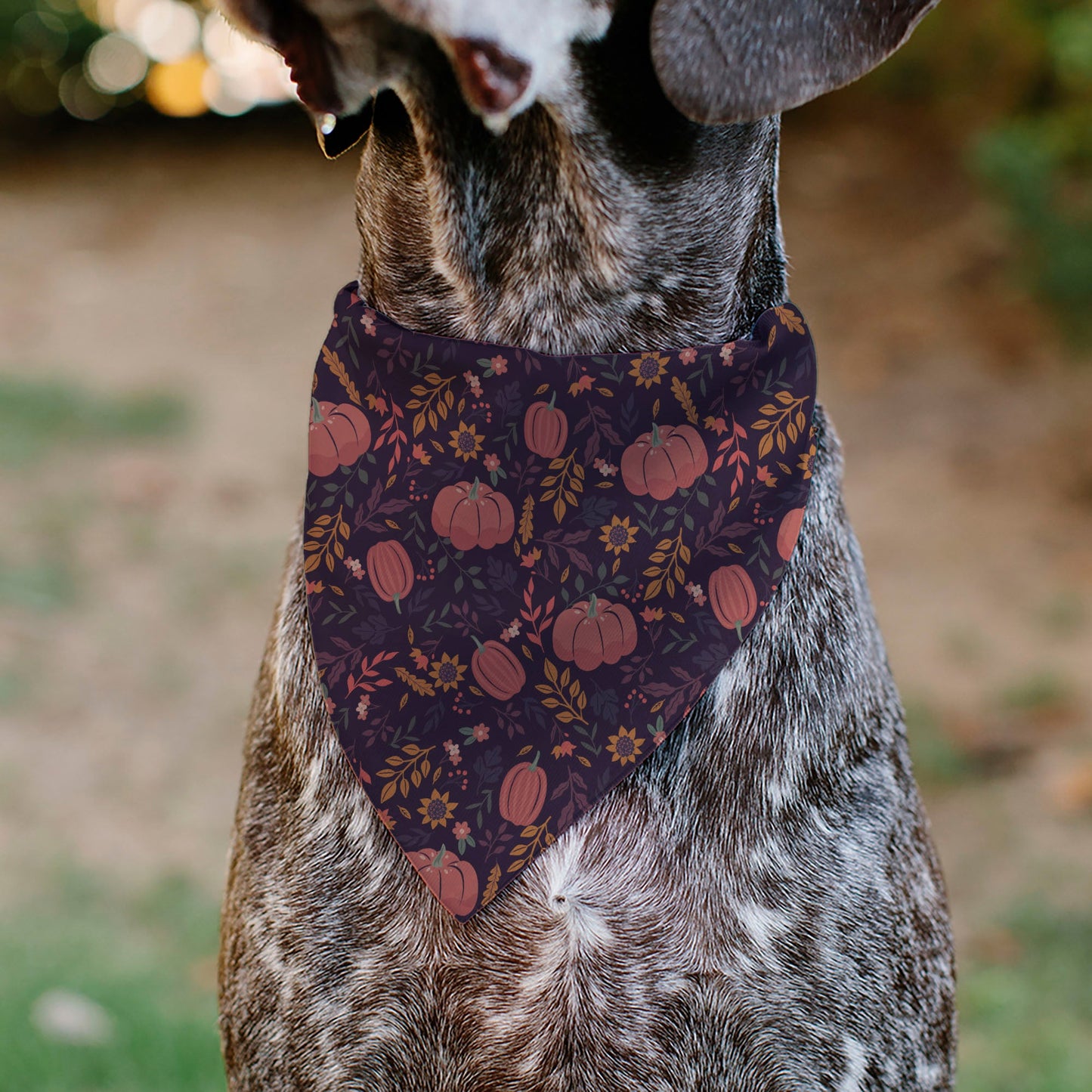 Pet Bandana - Fall Harvest Pumpkins and Flowers Collage Purples/Orange/Greens