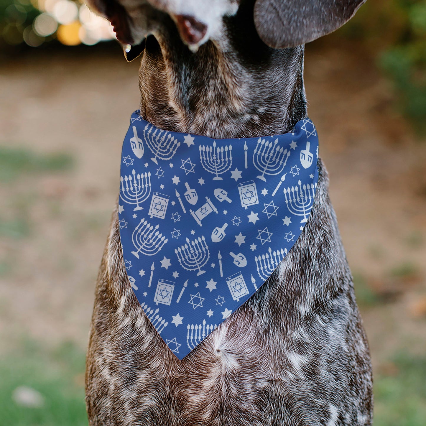 Pet Bandana - Hanukkah Holiday Symbols Blue/White
