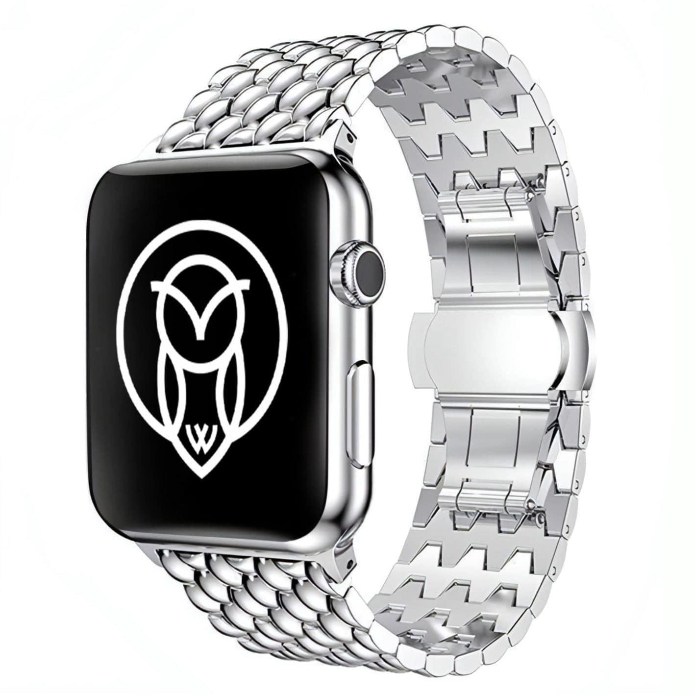 Arya Stainless Strap