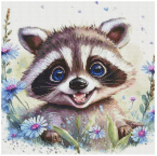 Smiling Raccoon