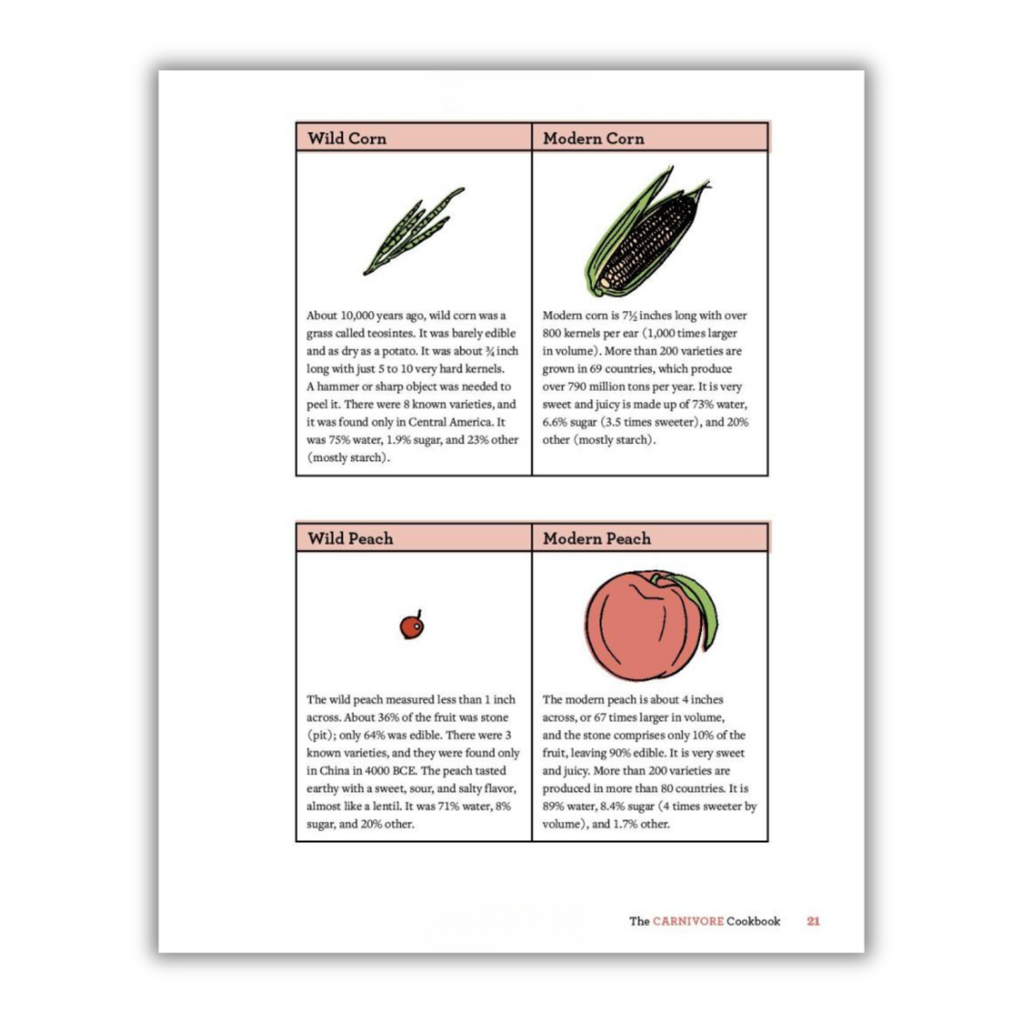 The Carnivore Cookbook (Spiral Bound)