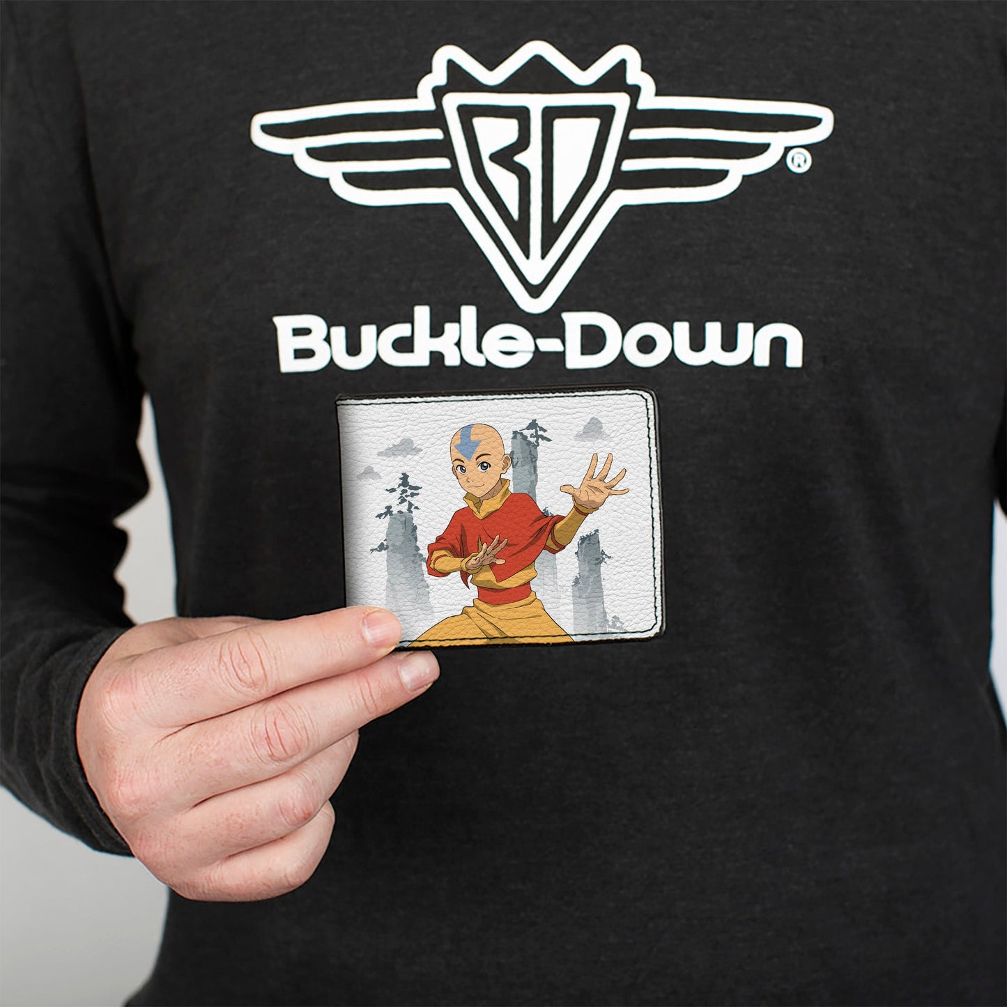 Bi-Fold Wallet - Avatar Last Airbender Aang Bending Pose and Scenery White/Grays
