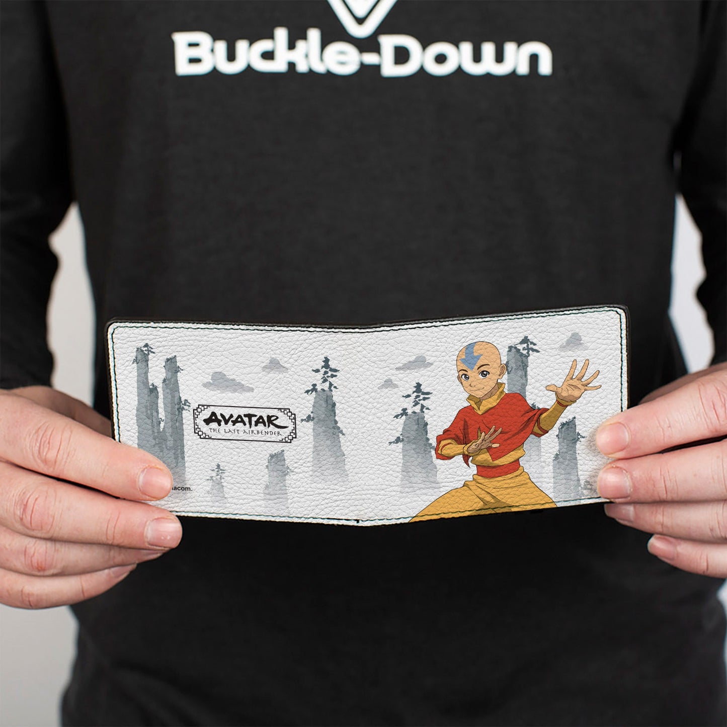 Bi-Fold Wallet - Avatar Last Airbender Aang Bending Pose and Scenery White/Grays