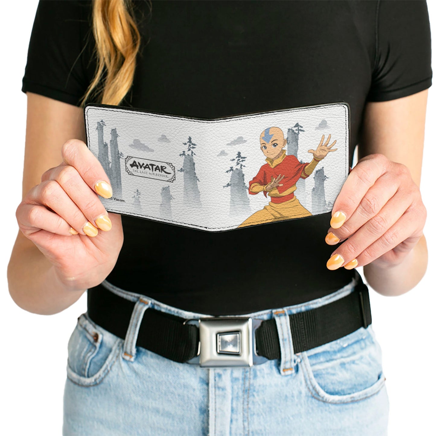 Bi-Fold Wallet - Avatar Last Airbender Aang Bending Pose and Scenery White/Grays