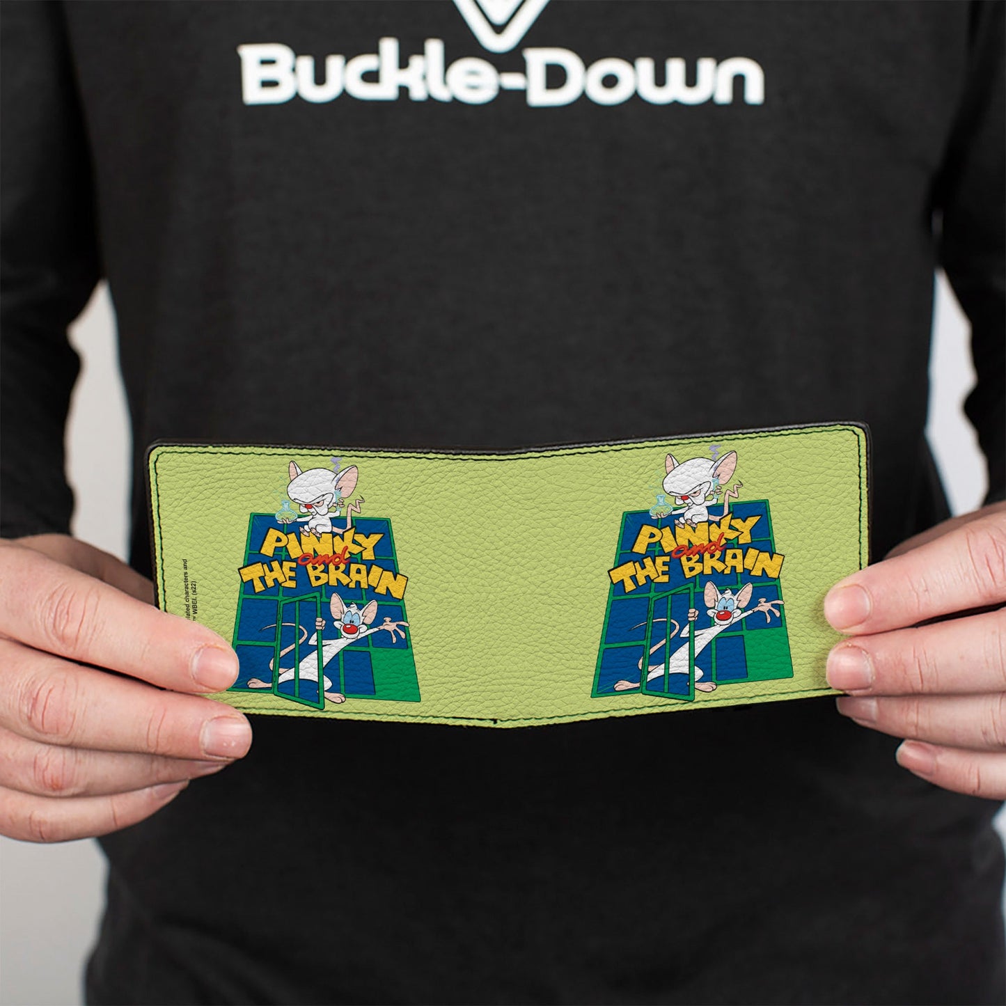 Bi-Fold Wallet - Animaniacs PINKY AND THE BRAIN Pose Greens Blue