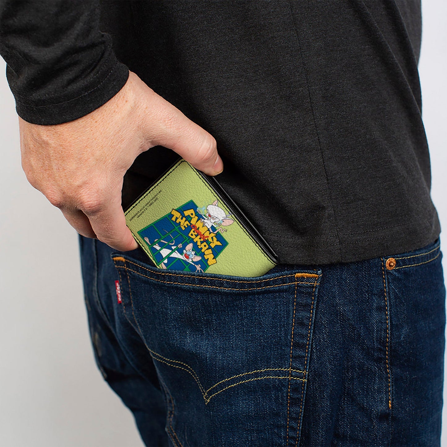 Bi-Fold Wallet - Animaniacs PINKY AND THE BRAIN Pose Greens Blue