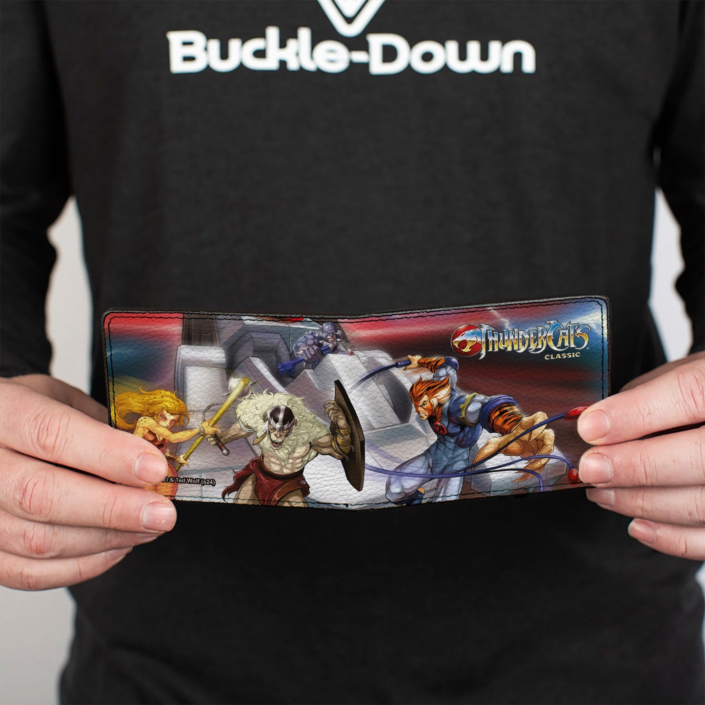 Bi-Fold Wallet - Thundercats and Monkian Action Pose and Title Logo