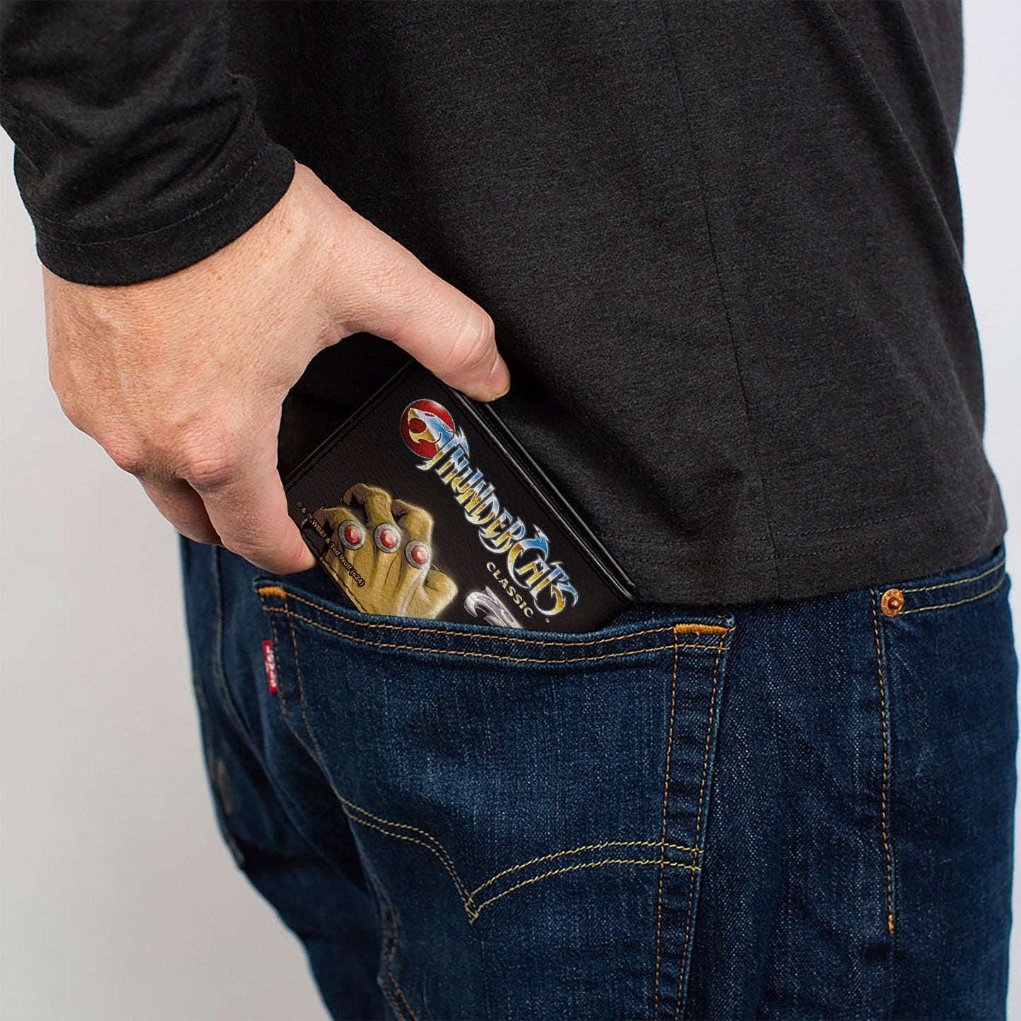 Bi-Fold Wallet - THUNDERCATS Lion-O Sword of Omens Title Logo Pose Black