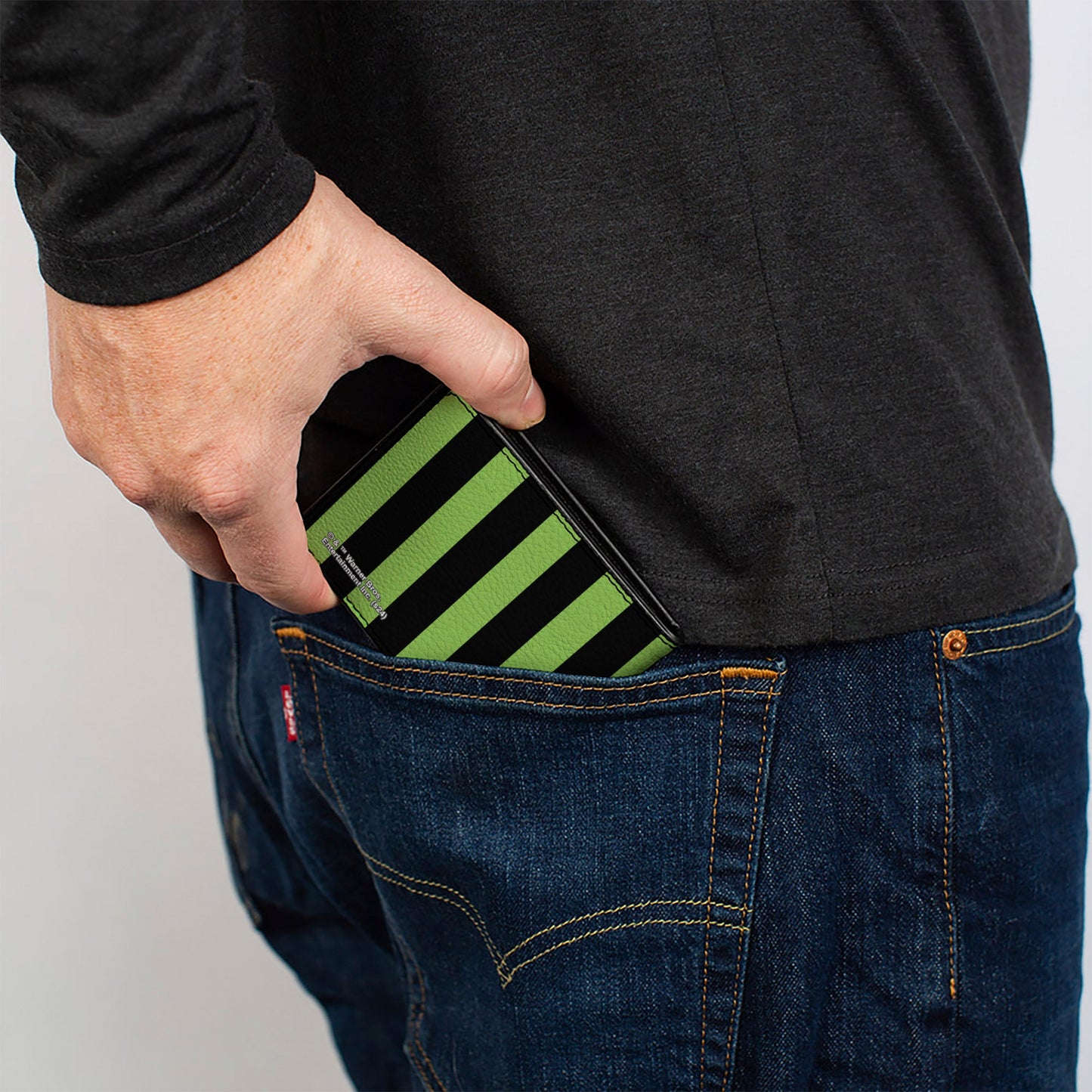 Bi-Fold Wallet - BEETLEJUICE Chibi Characters and Spider Webs Collage Greens