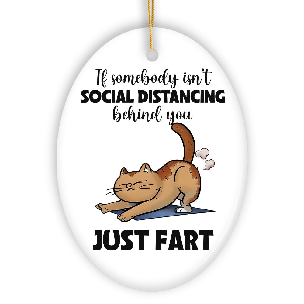 If Somebody Isn't Social Distancing Just Fart Quirky Cat, Cute and Funny Christmas Gift