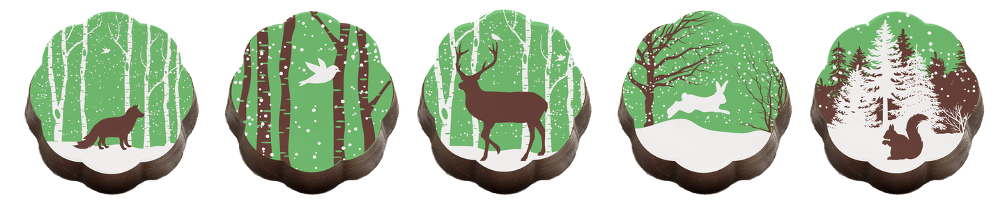 Woodland Wonderland